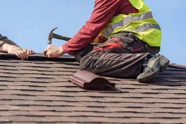 Best Roof Gutter Cleaning  in Watertown, FL